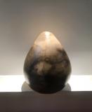 Egg Form 