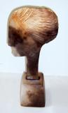 Burnished Head